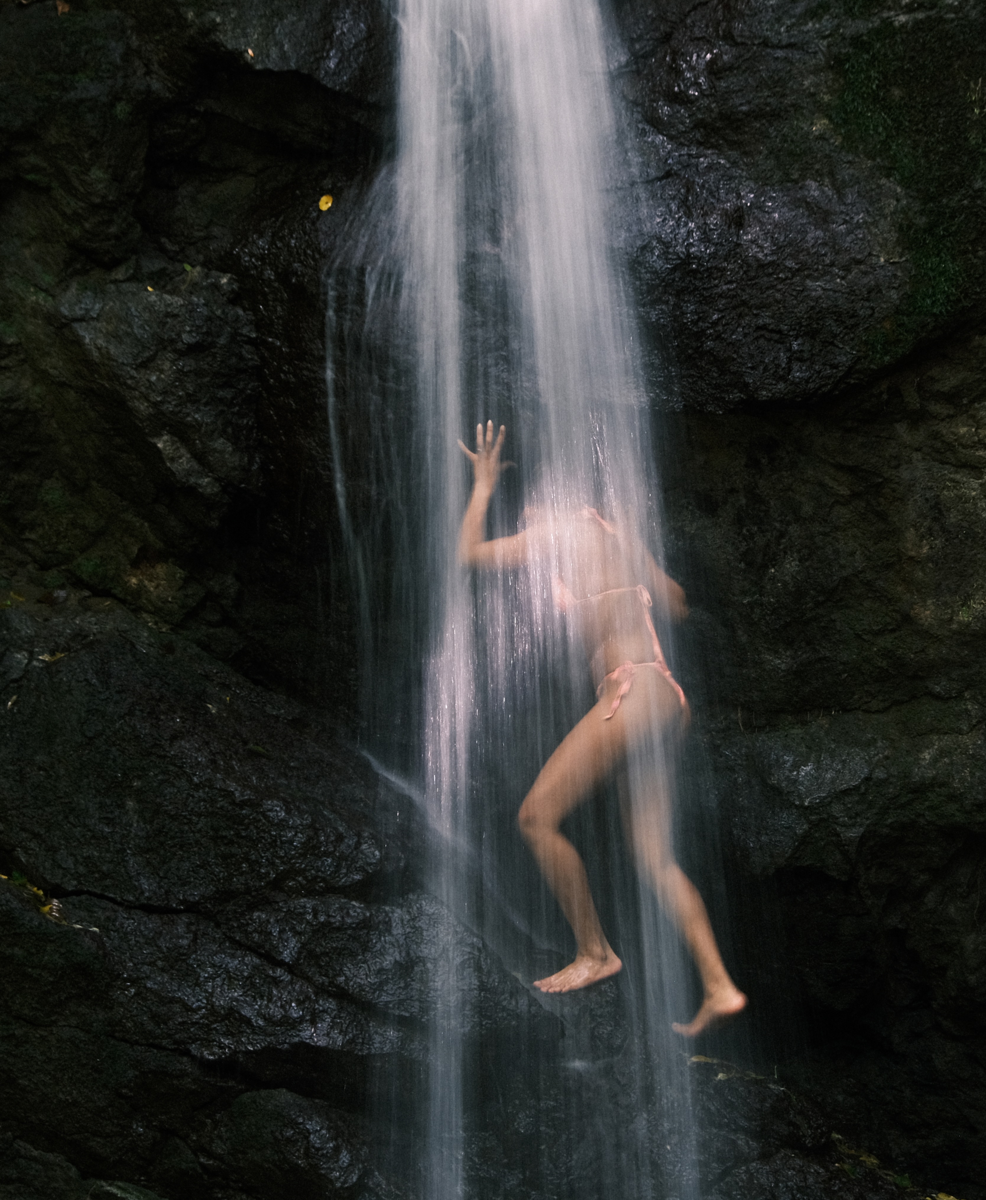 Waterfall in the jungle