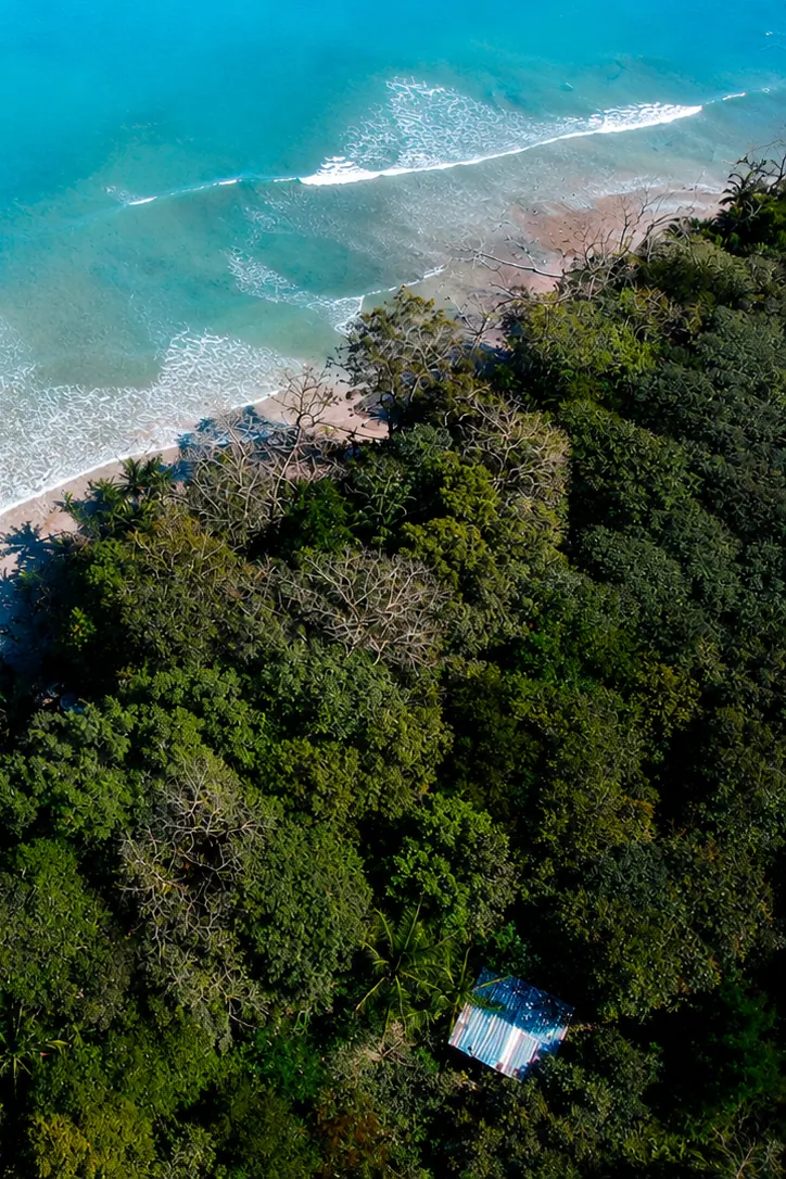 Jungle trail at Paz Corcovado